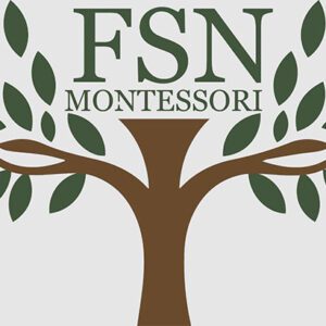 FSN_logo